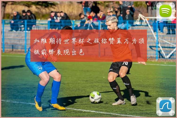 加维期待世界杯之旅称赞莱万为顶级前锋表现出色